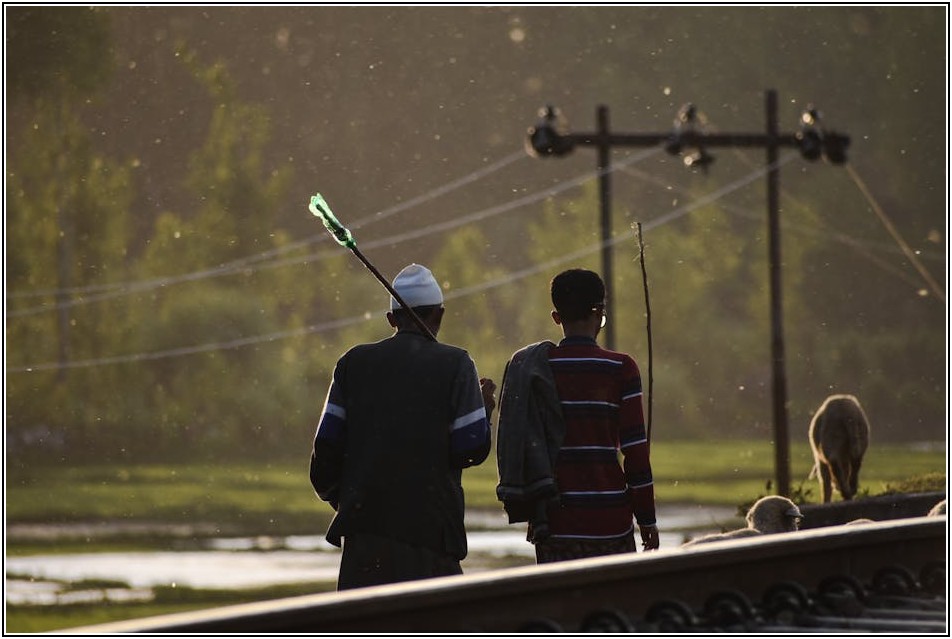 사회복지사 취업 성공 전략, 채용 공고 완벽 분석