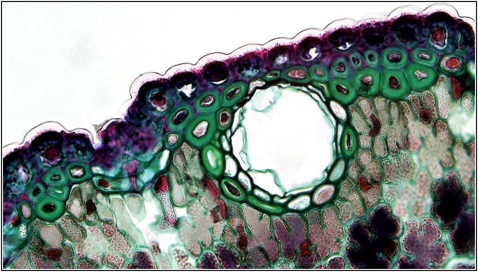 미생물 실험, 데이터 분석 완벽 가이드