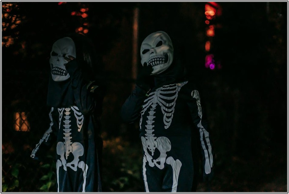 가을 만끽! 10월 전국 축제 & 이벤트 완벽 가이드