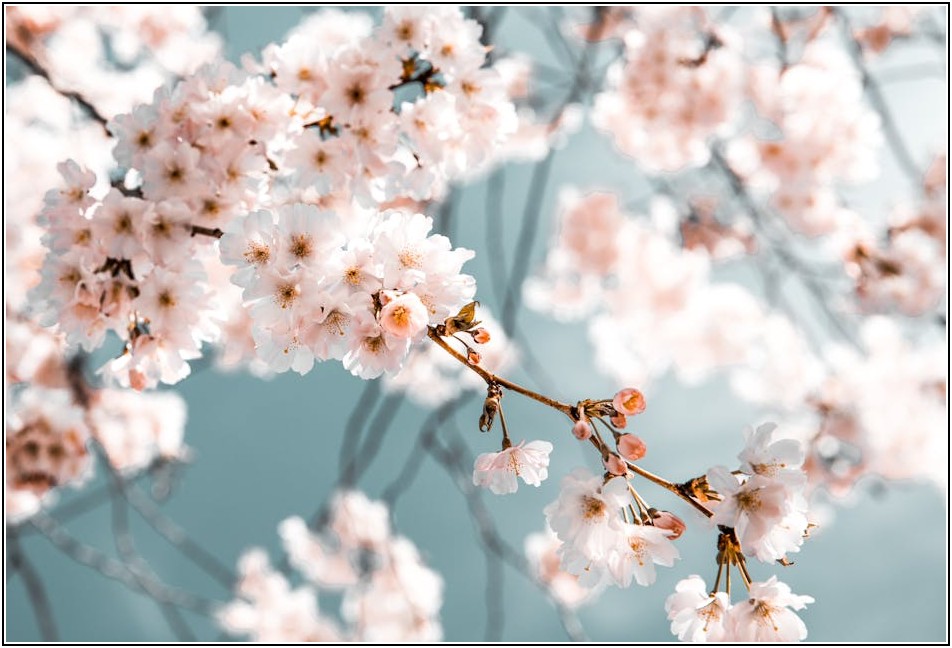 셀프 개명, 쉽고 빠른 서류 준비부터 법원 접수까지 완벽 가이드