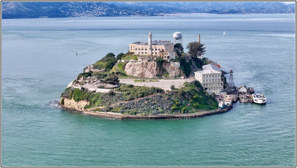 파산 채권 신고부터 실질적 배당까지 상세 가이드