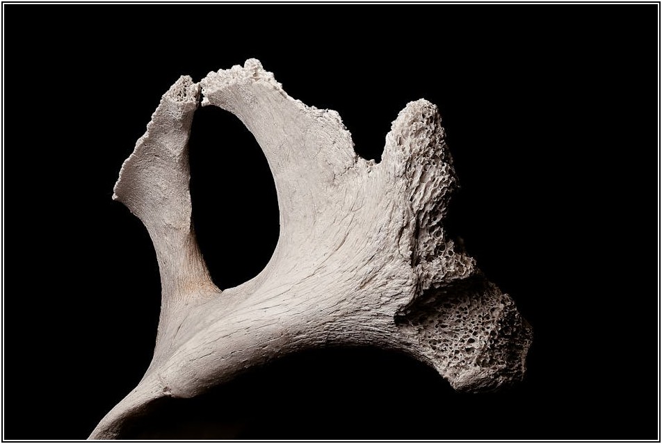 일부인 되기 전 필수 체크리스트: 법적 효력과 책임 완벽 분석