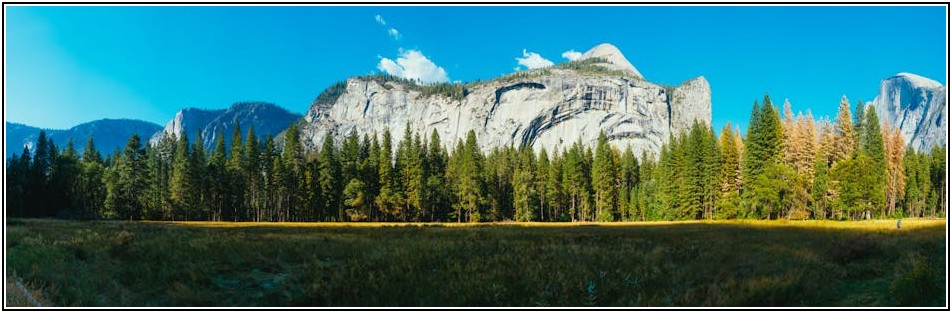 새 가구 오래 쓰기! 반짝임을 유지하는 내구도 관리법