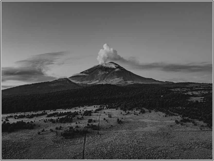 구매전환율 높이는 데이터 분석, 필수 가이드