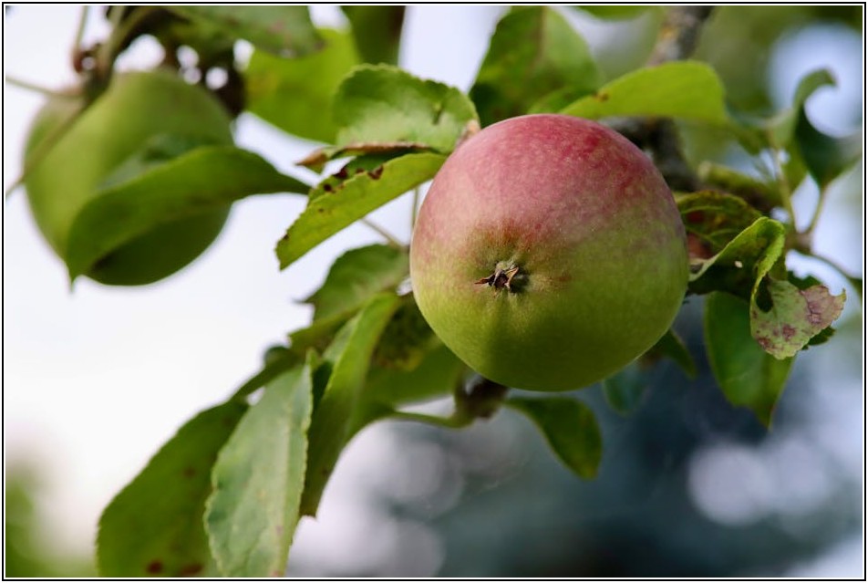 사진 정리부터 아날로그 감성까지, 모두 담는 방법