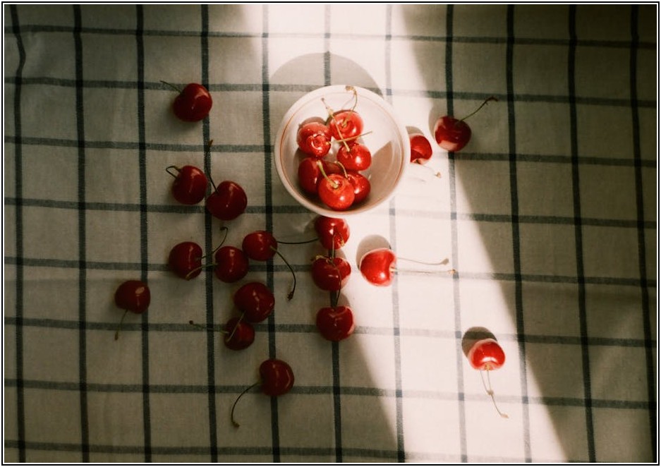 우리 집 식탁 지키는 법, 매트 종류별 특징 총정리