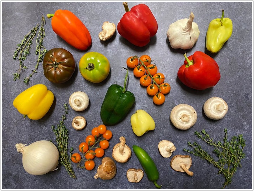 고추 농사, 비닐 멀칭으로 생육 환경 극대화