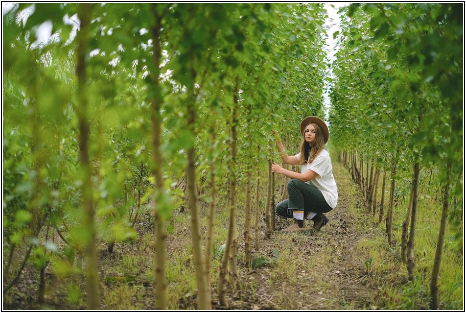 모자분리공사, 후회 없는 업체 선정, 이것만은 꼭!