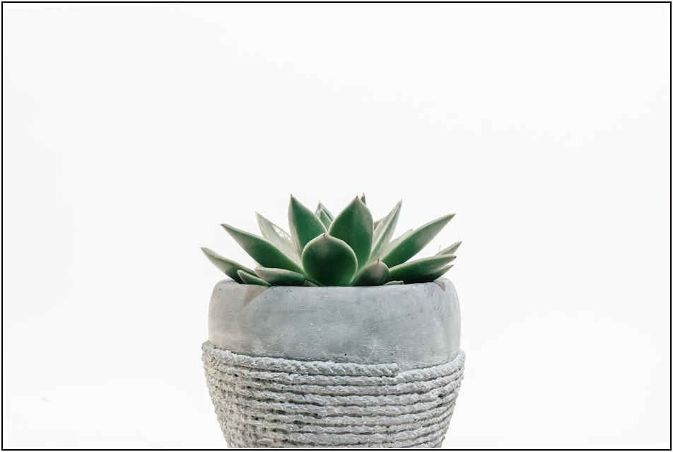 CME05PID, 당신의 선택을 위한 제품 사양 & 구매 완벽 가이드