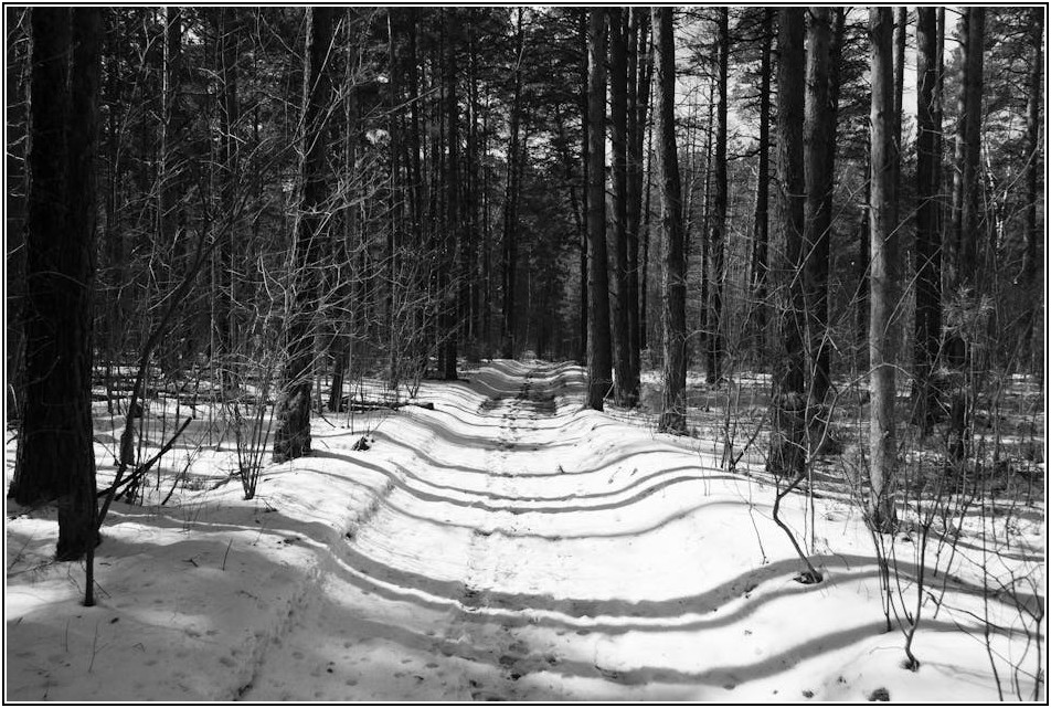 스마트폰 배터리 오래 쓰는 법: 안드로이드 필수 가이드