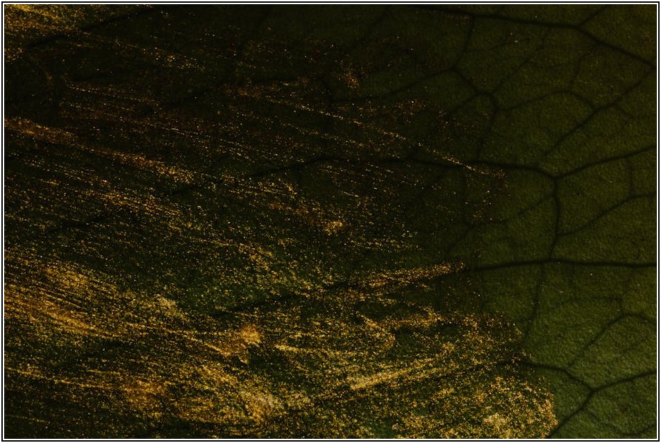 여름 마케팅 필수, 팥빙수 무료 이미지 구하기