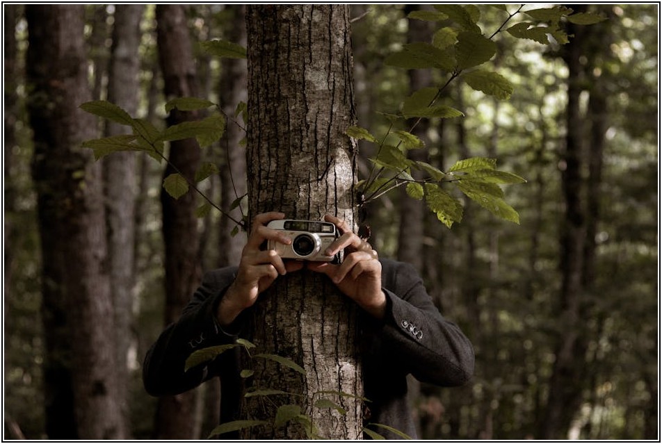 CCTV 카메라, 꼼꼼하게 알아보고 안전한 우리 집 만들기