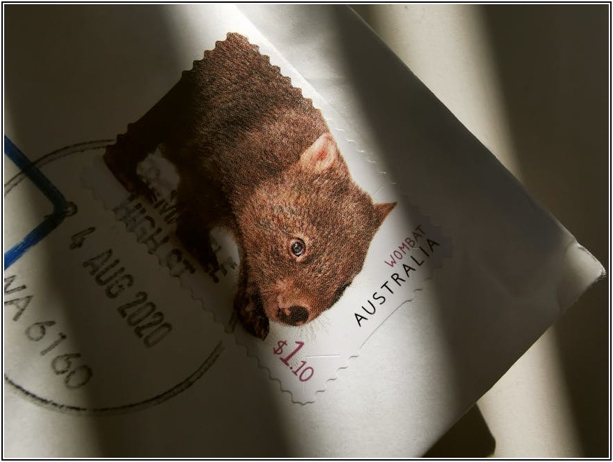 도장 면허, 꿈을 현실로 만드는 취업 및 연봉 가이드