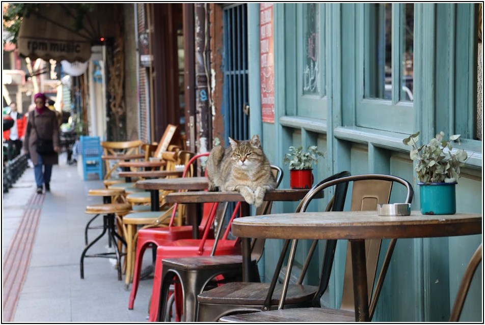 보험금 청구 어려운 당신을 위한 선택, 보험 닥터 전문가이드