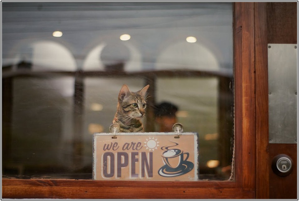시선을 사로잡는 카페 로고, 성공 비결 공개