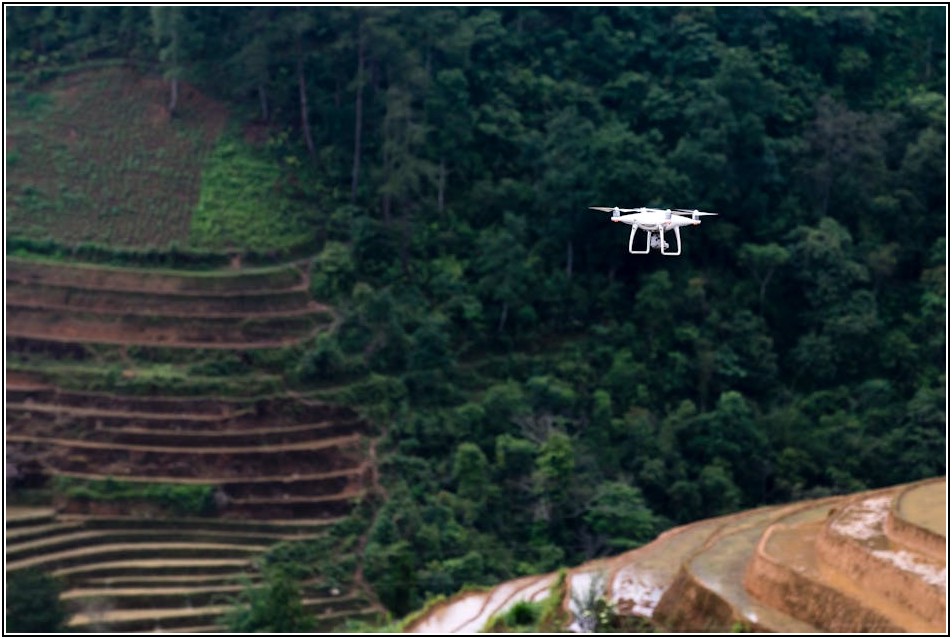 산지관리법 개정, 무엇이 달라졌을까?