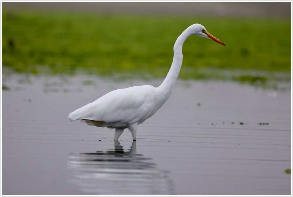 미국 ETF 투자, 신중하게 접근해야 할 이유