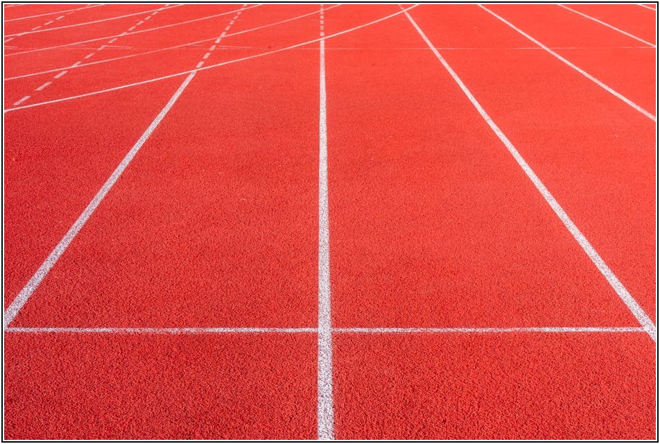 스포츠 전문가 꿈꾼다면? 인턴십으로 실력 키우는 법