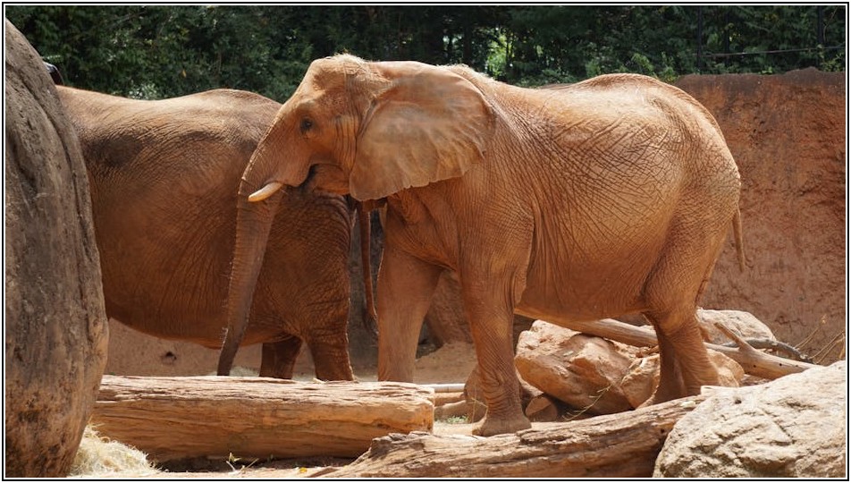 상아도장, 제대로 알고 쓰려면? 필수 Q&A 공개