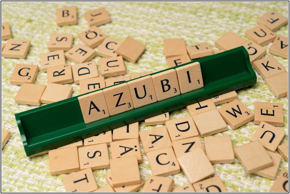 법무사 전망 파헤치기: 자격증 취득 후 진로 가이드