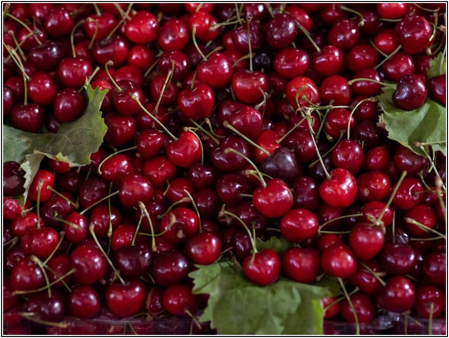 감각적인 뷰티샵 로고, 최신 디자인 트렌드 완벽 분석