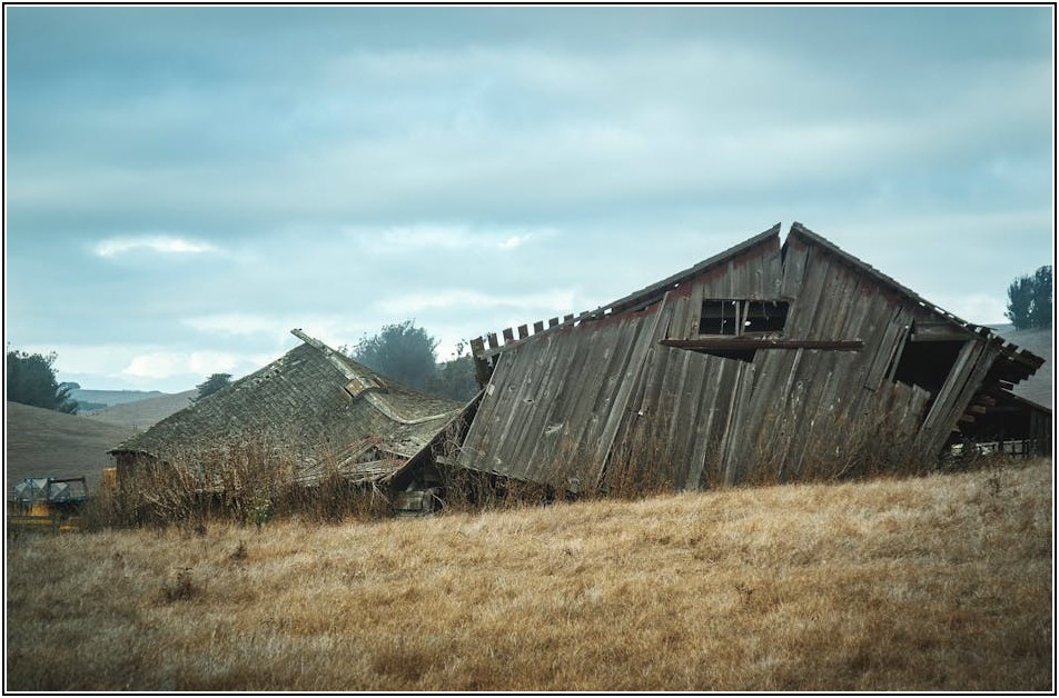 폐목재 재활용, 환경도 살리고 실생활에도 유용한 팁