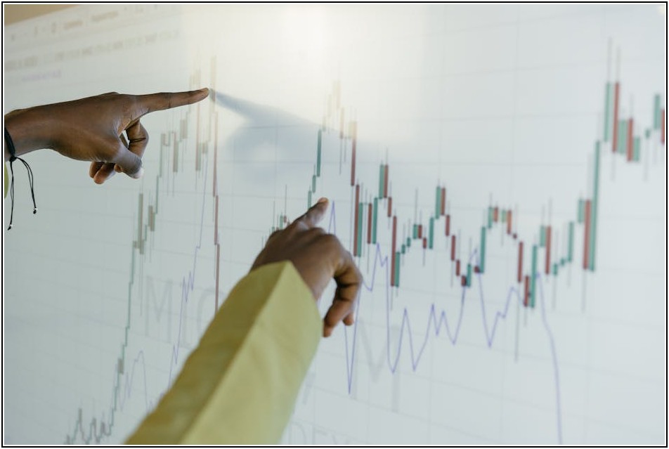 주식 고수들의 리스크 관리, 손실 최소화 전략 공개