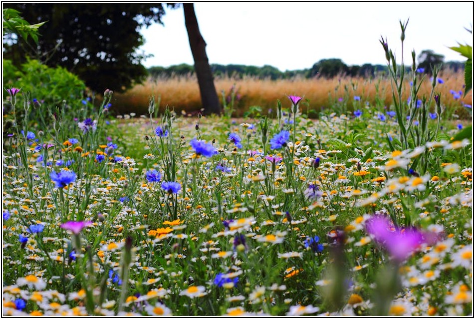 자기 관리부터 목표 달성까지, 셀프 리더십의 모든 것