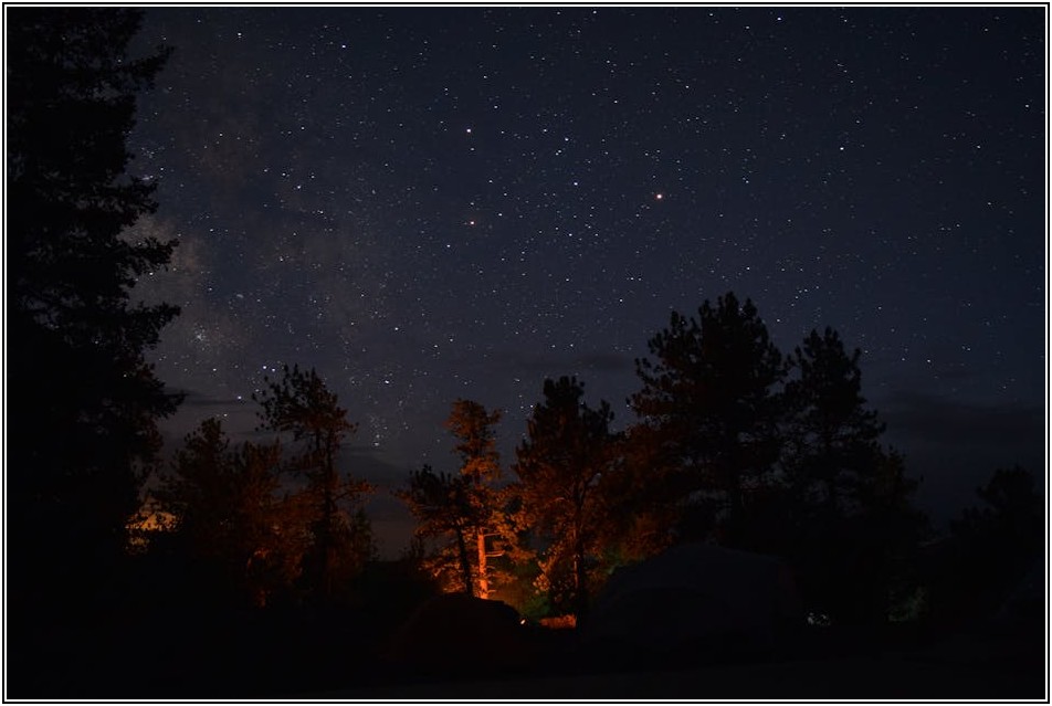 캠핑 라이프 업그레이드, 캠핑카트의 모든 것