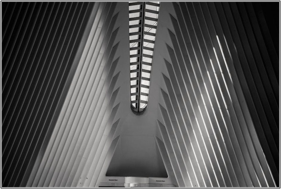 곰팡이 걱정 끝! 화장실 천정 마감재 제대로 고르기