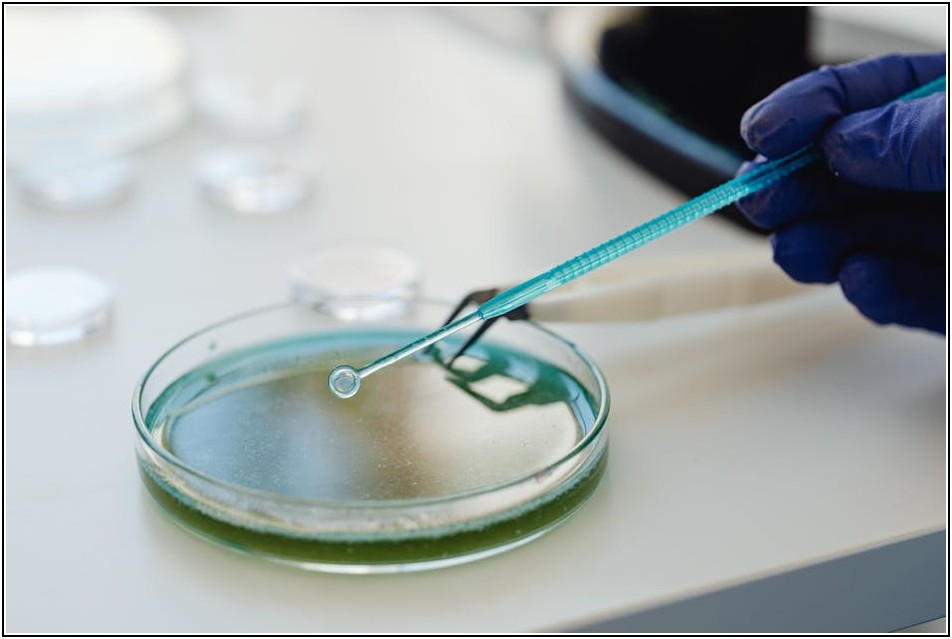 최신 DTC 유전자 검사, 미래 건강을 디자인하다