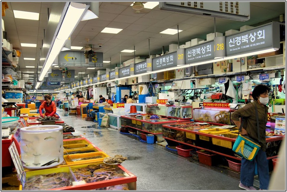 부산 아나운서 되기: 지역 방송사 합격 전략 A to Z