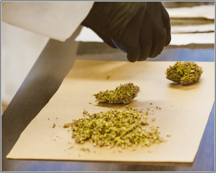 천연 고무, 지속 가능성 실천으로 가치를 더하다