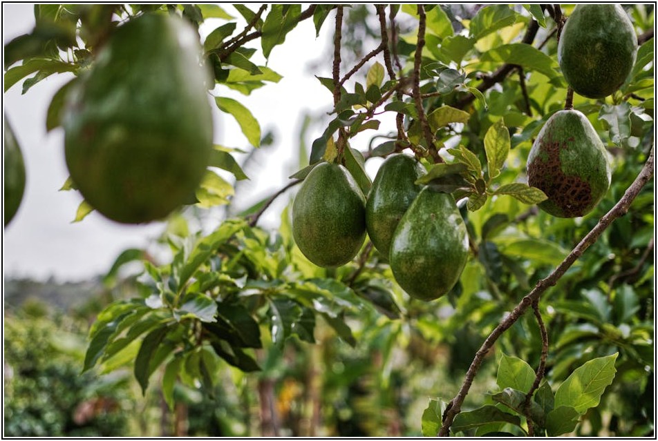 의정부 다이어트, 이제 전문가와 함께 습관을 바꾸세요