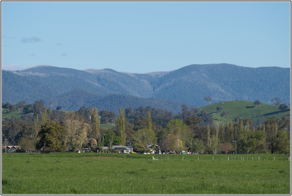 행사의 꽃, 레크리에이션 기획 핵심 전략 공개