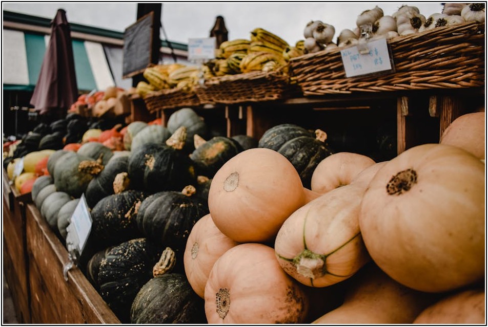 음식물 쓰레기 처리, 똑똑하게 하는 방법 알아보기