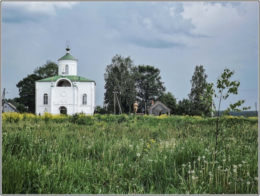 합리적인 예산으로 빛나는 집, 그라스 크로스 활용법