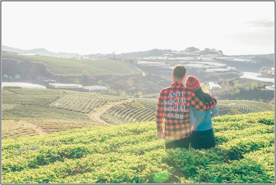 PAMS 투자, 성공 사례로 배우는 노하우