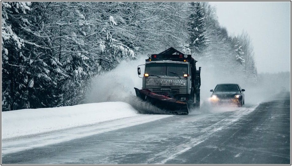 성공적인 아이스크림차 창업, 현실적인 조언과 사례