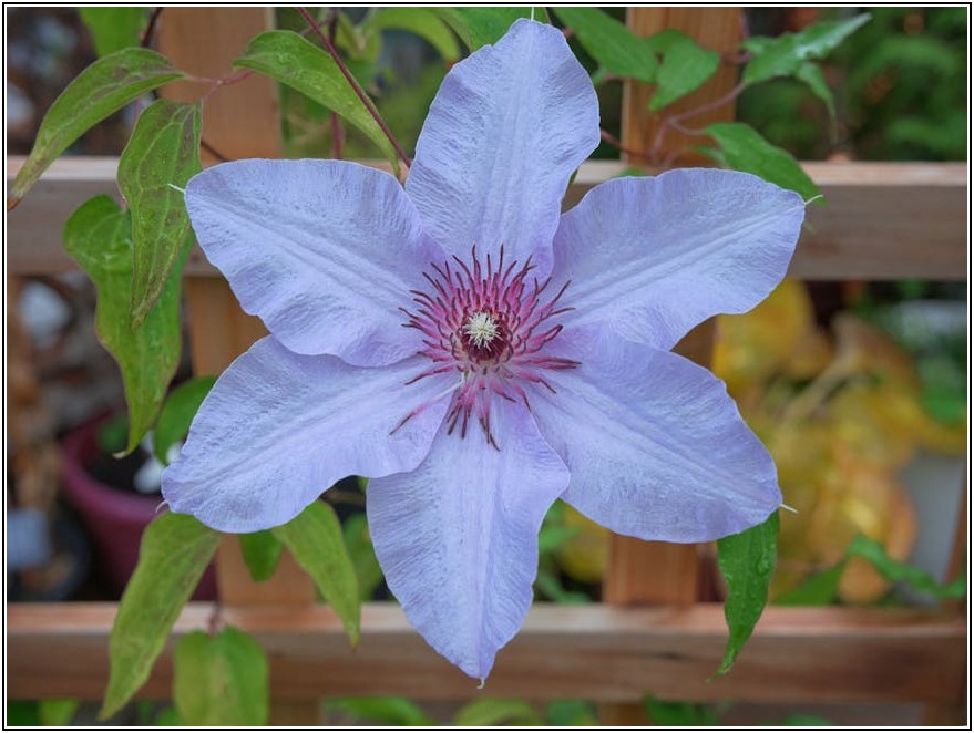 접이식 휀스 직접 설치, 전문가 없이 성공하는 방법