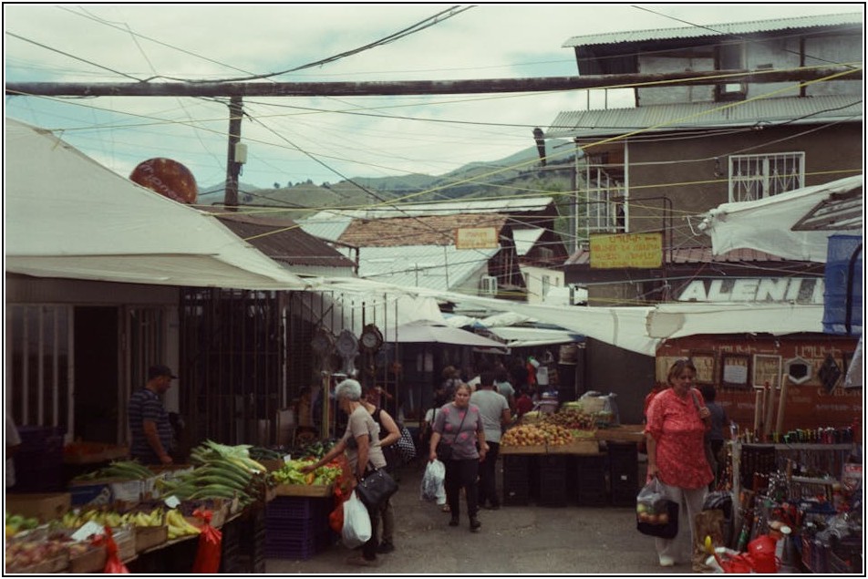 농업용 비닐, 효율적인 사용으로 수확량을 높여보세요
