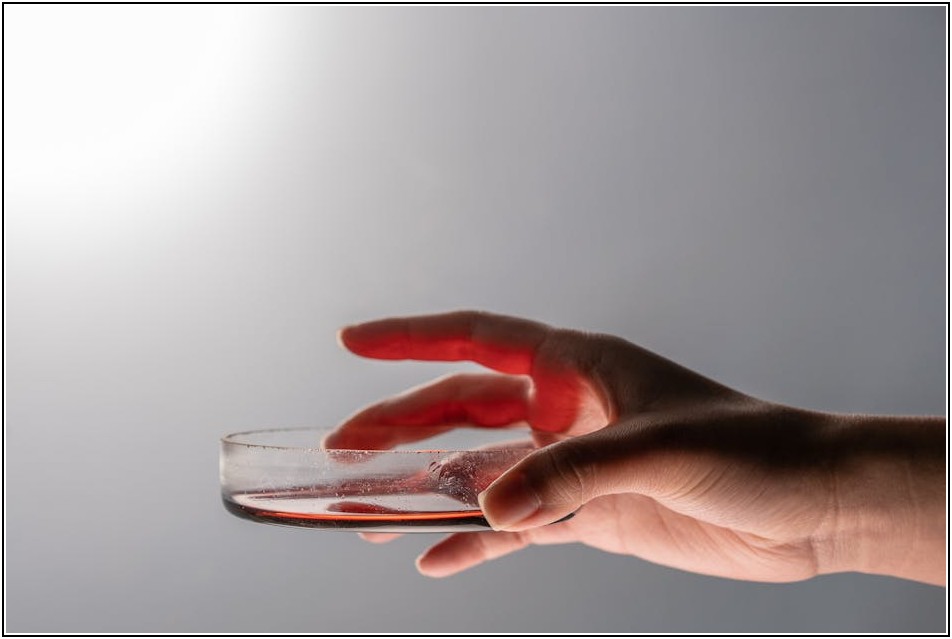 컨테이너 박스 수명 연장, 최고의 보관 관리 가이드