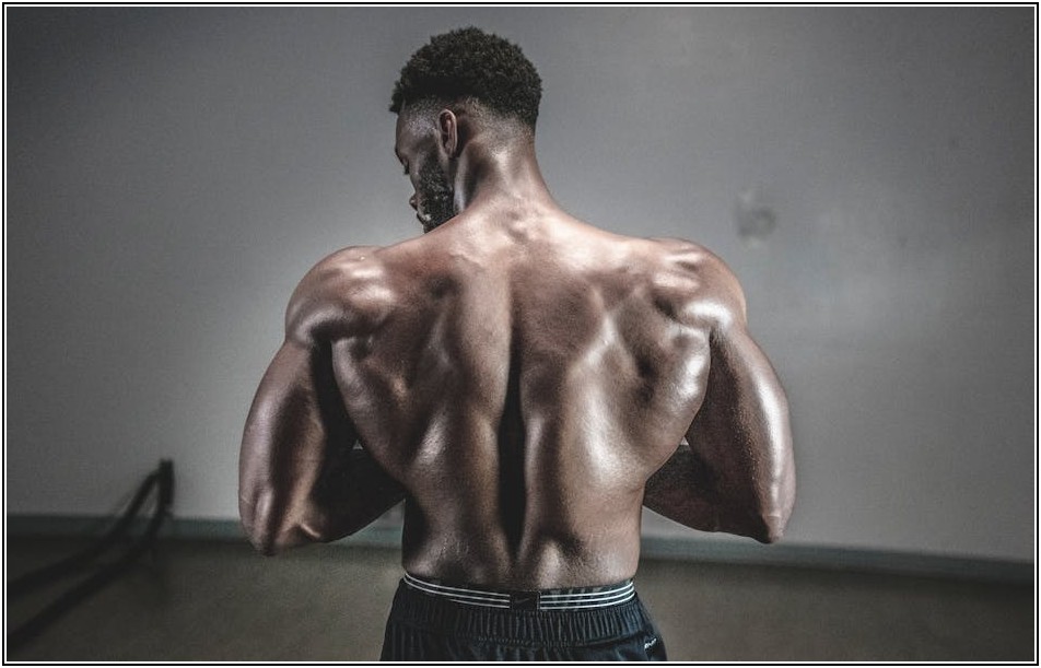 권고사직 후 실업급여, 놓치면 후회할 신청 꿀팁