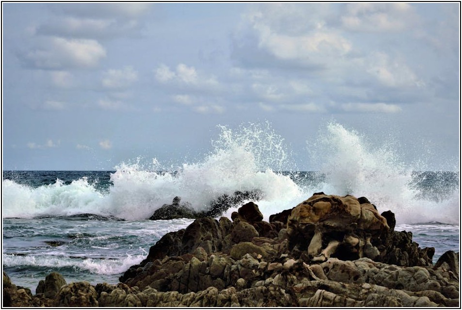 온수 디스펜서, 더 안전하고 깨끗하게 사용하는 법