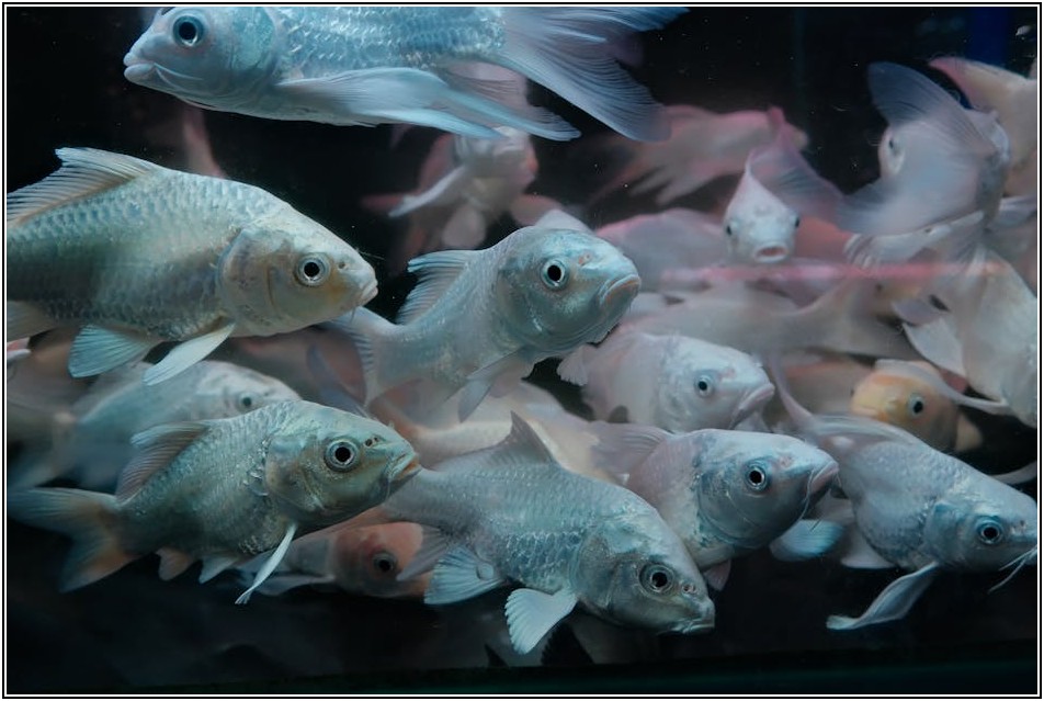 우리 집 물탱크 안전 점검, 누수 확인부터 보수까지