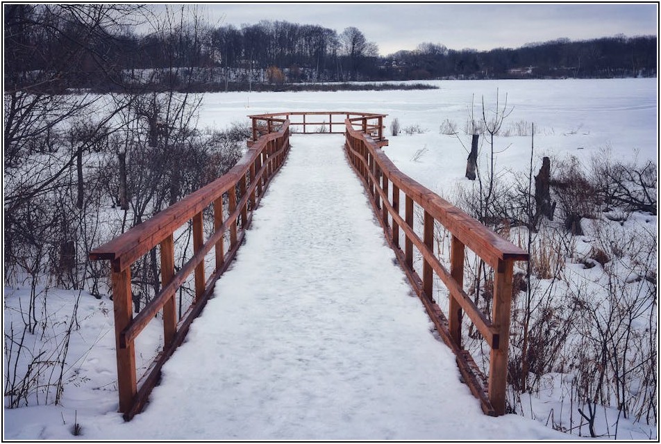 최신 LG 85인치 TV, 스펙 비교와 현명한 가격 선택 가이드