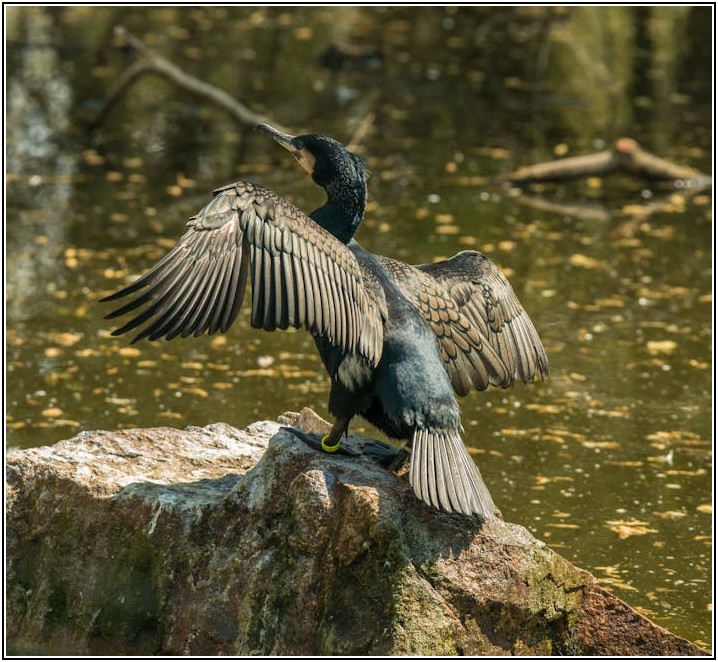 내 손안의 영화관, 소형 캠코더 촬영 & 편집 길라잡이