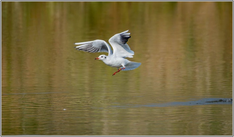 살수차, 비용 걱정 끝! 현명한 선택 전략