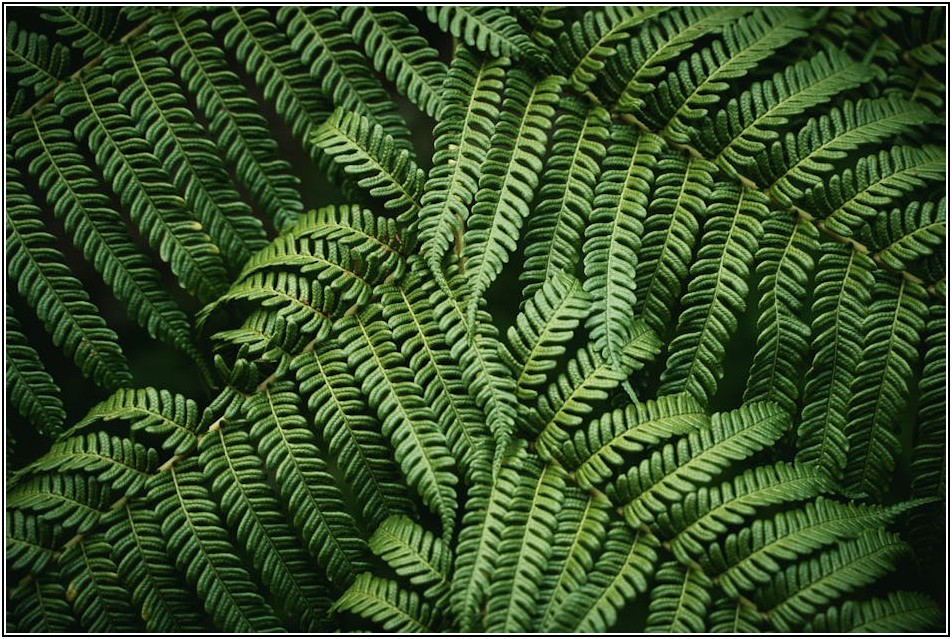 호주에서 석사 마치고 취업까지! 영주권 희망자 필독