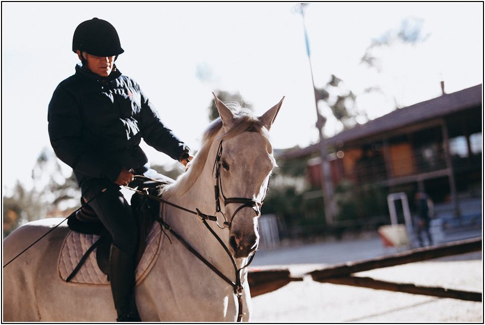 논산 육군훈련소 맛집: 훈련병 면회객 필수 정보